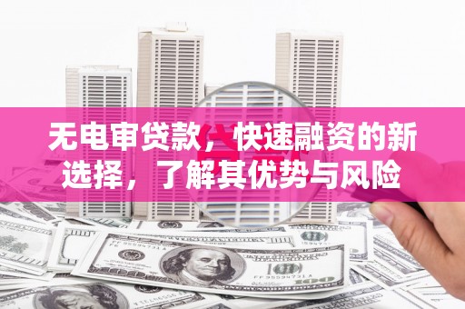 葫芦岛无电审贷款，快速融资的新选择，了解其优势与风险