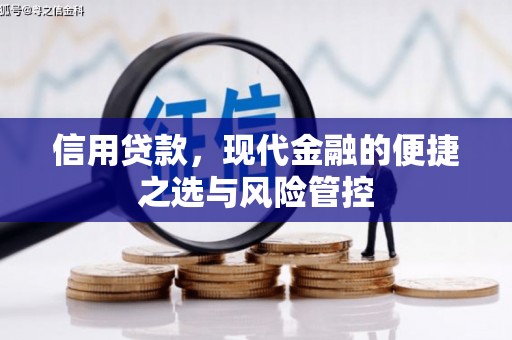 葫芦岛信用贷款，现代金融的便捷之选与风险管控