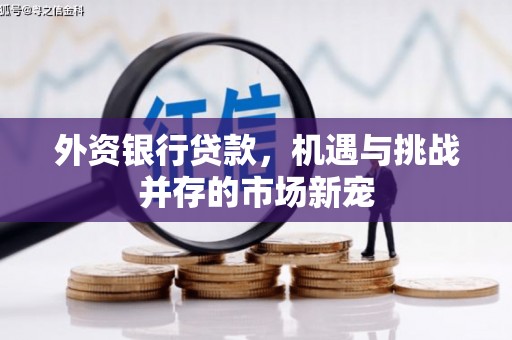 葫芦岛外资银行贷款，机遇与挑战并存的市场新宠