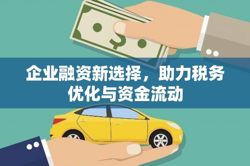 葫芦岛企业融资新选择，助力税务优化与资金流动