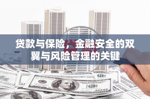 葫芦岛贷款与保险，金融安全的双翼与风险管理的关键