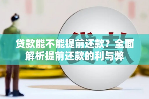 葫芦岛贷款能不能提前还款？全面解析提前还款的利与弊