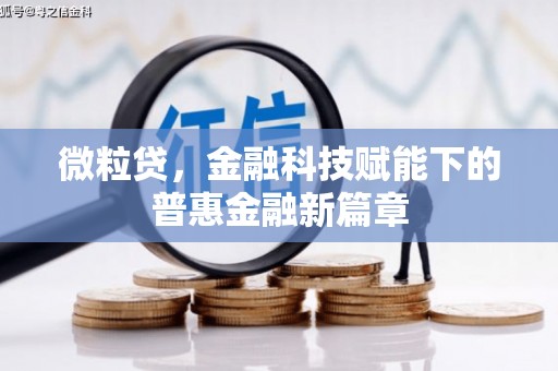 葫芦岛微粒贷，金融科技赋能下的普惠金融新篇章