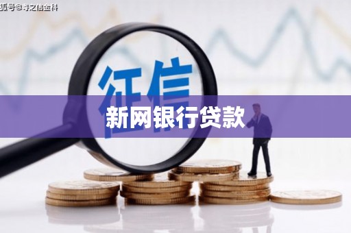 葫芦岛新网银行贷款