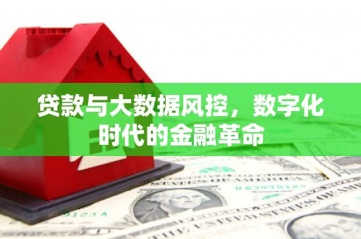 葫芦岛贷款与大数据风控，数字化时代的金融革命
