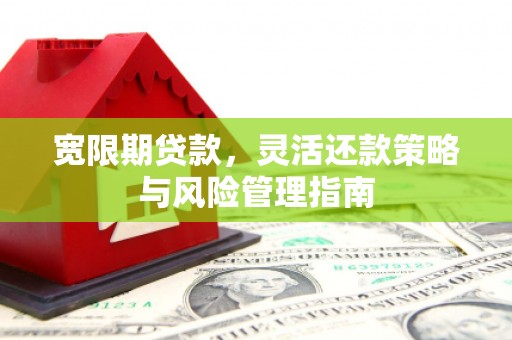 葫芦岛宽限期贷款，灵活还款策略与风险管理指南