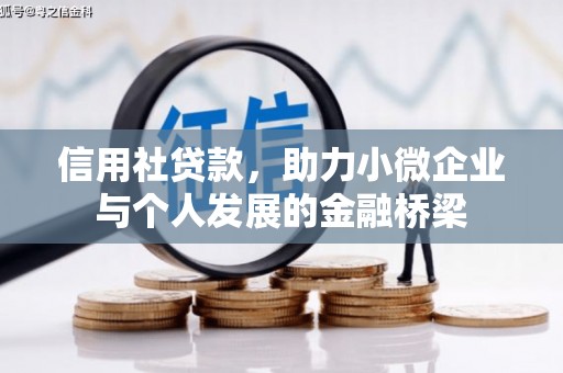 葫芦岛信用社贷款，助力小微企业与个人发展的金融桥梁