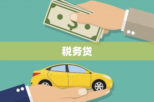 葫芦岛税务贷