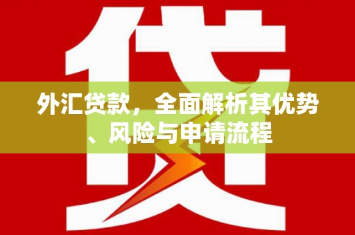 葫芦岛外汇贷款，全面解析其优势、风险与申请流程