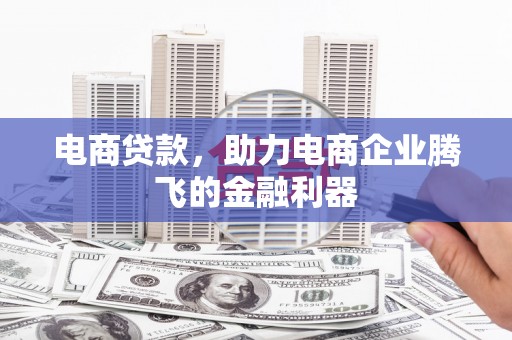 葫芦岛电商贷款，助力电商企业腾飞的金融利器