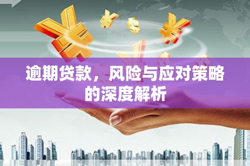 葫芦岛逾期贷款，风险与应对策略的深度解析
