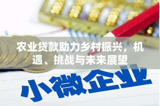 葫芦岛农业贷款助力乡村振兴，机遇、挑战与未来展望