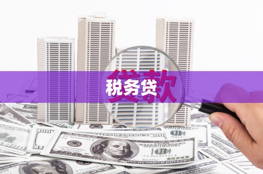 葫芦岛税务贷