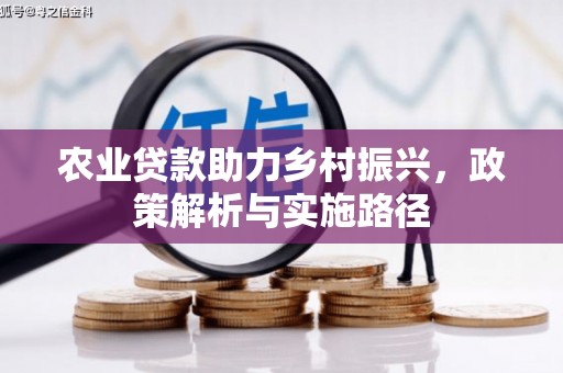 葫芦岛农业贷款助力乡村振兴，政策解析与实施路径
