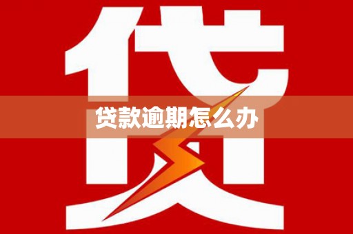 葫芦岛贷款逾期怎么办