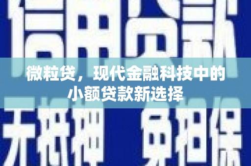 葫芦岛微粒贷，现代金融科技中的小额贷款新选择