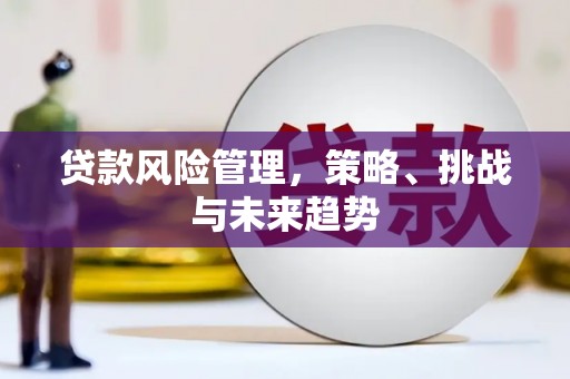 葫芦岛贷款风险管理，策略、挑战与未来趋势
