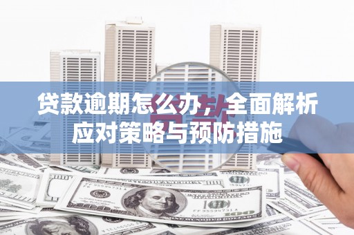 葫芦岛贷款逾期怎么办，全面解析应对策略与预防措施