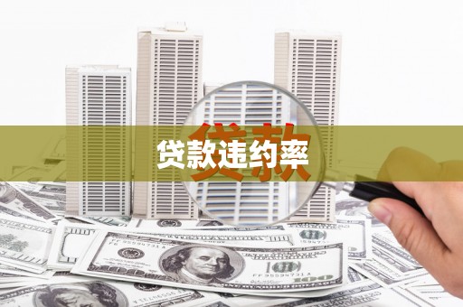 葫芦岛贷款违约率