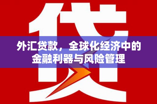 葫芦岛外汇贷款，全球化经济中的金融利器与风险管理