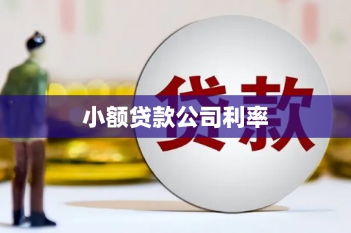 葫芦岛小额贷款公司利率