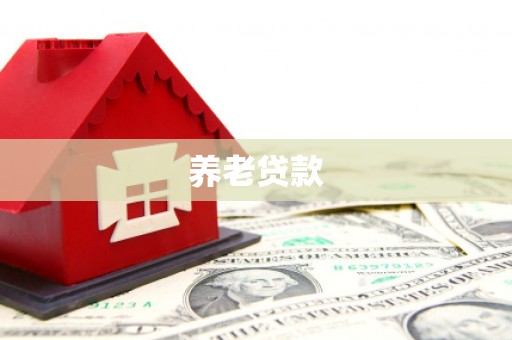 葫芦岛养老贷款