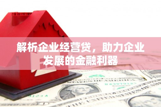 葫芦岛解析企业经营贷，助力企业发展的金融利器