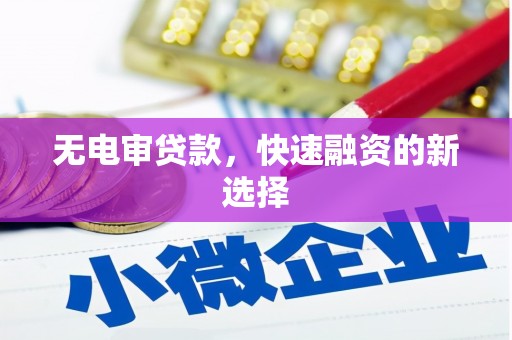 葫芦岛无电审贷款，快速融资的新选择