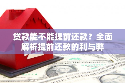 葫芦岛贷款能不能提前还款？全面解析提前还款的利与弊