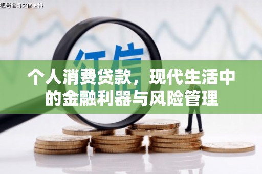 葫芦岛个人消费贷款，现代生活中的金融利器与风险管理