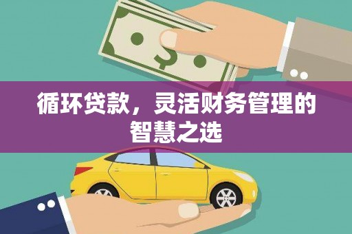 葫芦岛循环贷款，灵活财务管理的智慧之选