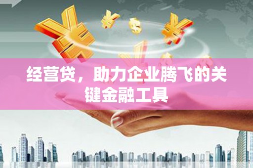 葫芦岛经营贷，助力企业腾飞的关键金融工具