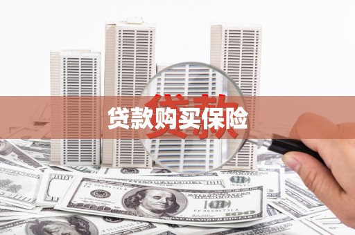 葫芦岛贷款购买保险