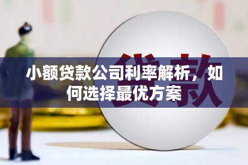 葫芦岛小额贷款公司利率解析，如何选择最优方案