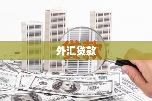 葫芦岛外汇贷款
