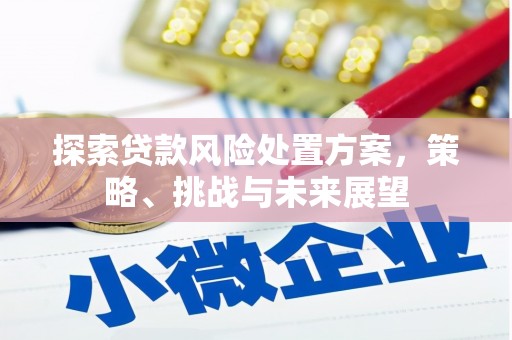 葫芦岛探索贷款风险处置方案，策略、挑战与未来展望