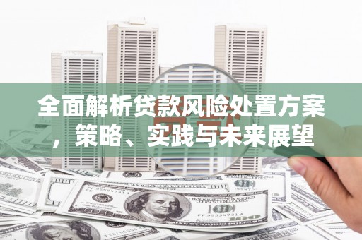葫芦岛全面解析贷款风险处置方案，策略、实践与未来展望