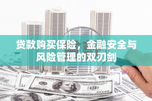 葫芦岛贷款购买保险，金融安全与风险管理的双刃剑