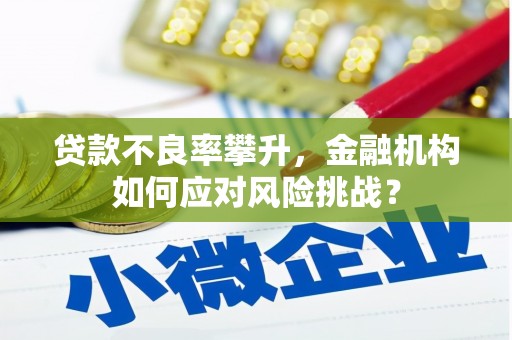 葫芦岛贷款不良率攀升，金融机构如何应对风险挑战？