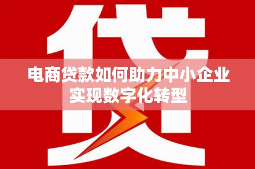 葫芦岛电商贷款如何助力中小企业实现数字化转型