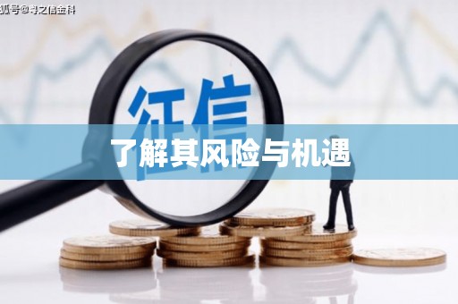 葫芦岛了解其风险与机遇