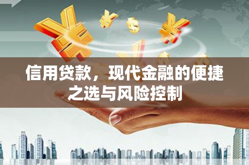 葫芦岛信用贷款，现代金融的便捷之选与风险控制
