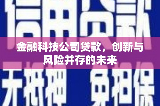 葫芦岛金融科技公司贷款，创新与风险并存的未来