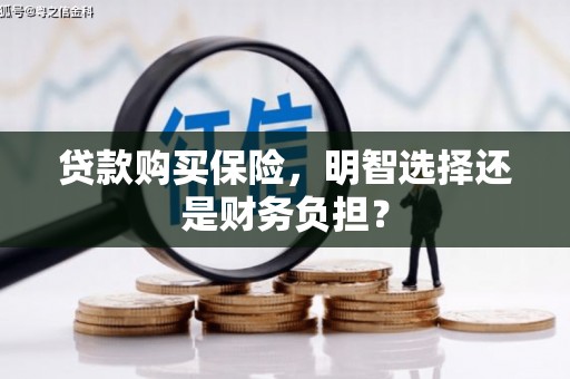 葫芦岛贷款购买保险，明智选择还是财务负担？