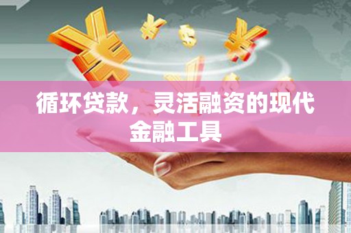 葫芦岛循环贷款，灵活融资的现代金融工具