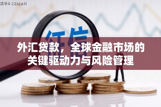 葫芦岛外汇贷款，全球金融市场的关键驱动力与风险管理