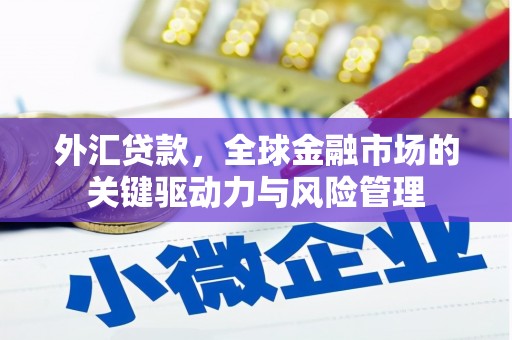 葫芦岛外汇贷款，全球金融市场的关键驱动力与风险管理