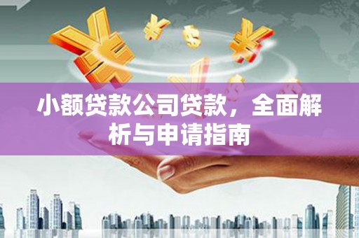 葫芦岛小额贷款公司贷款，全面解析与申请指南