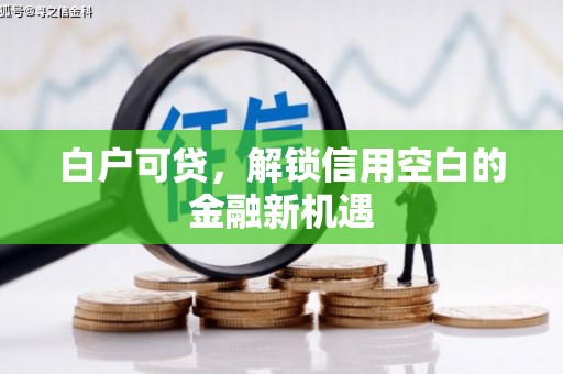 葫芦岛白户可贷，解锁信用空白的金融新机遇