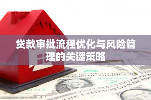 葫芦岛贷款审批流程优化与风险管理的关键策略